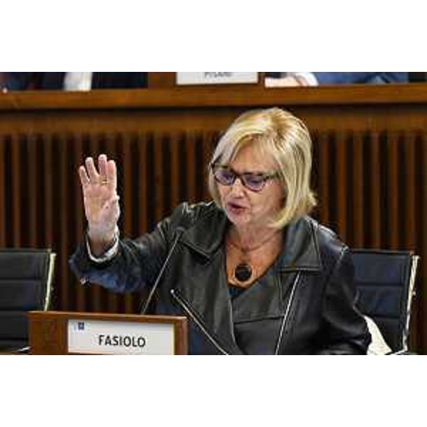 Laura Fasiolo (Partito democratico) - Laura Fasiolo (Partito democratico)