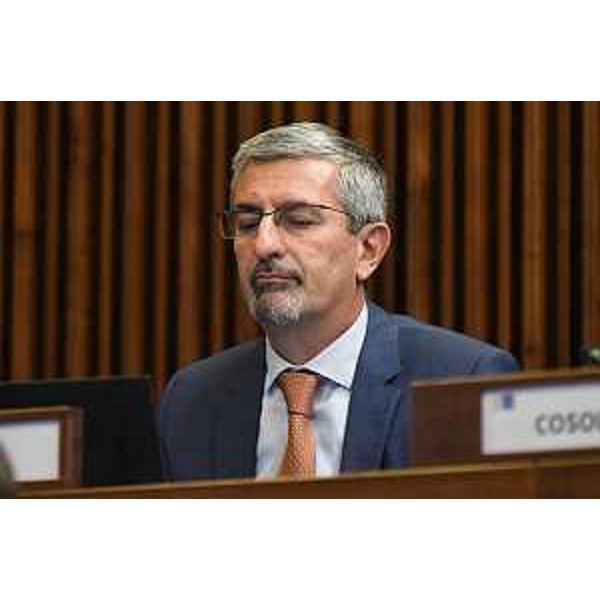 Andrea Carli (Pd) - Andrea Carli (Pd)