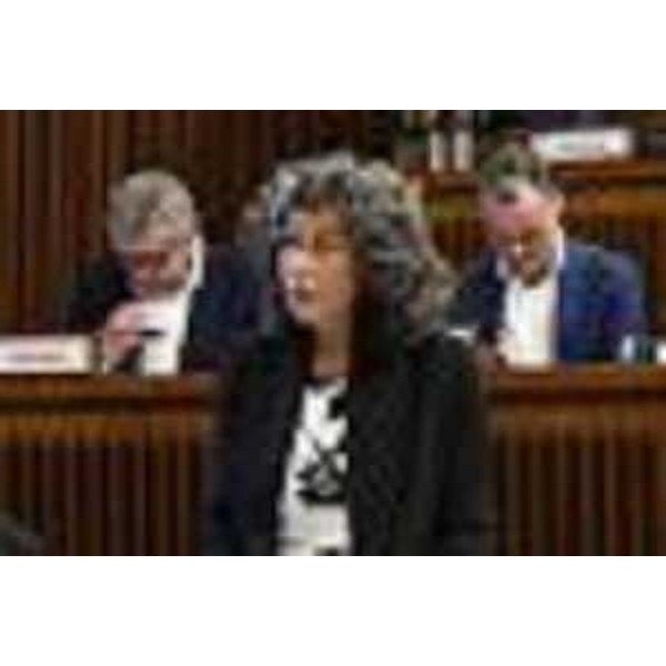 Serena Pellegrino (Avs) - Serena Pellegrino (Avs)