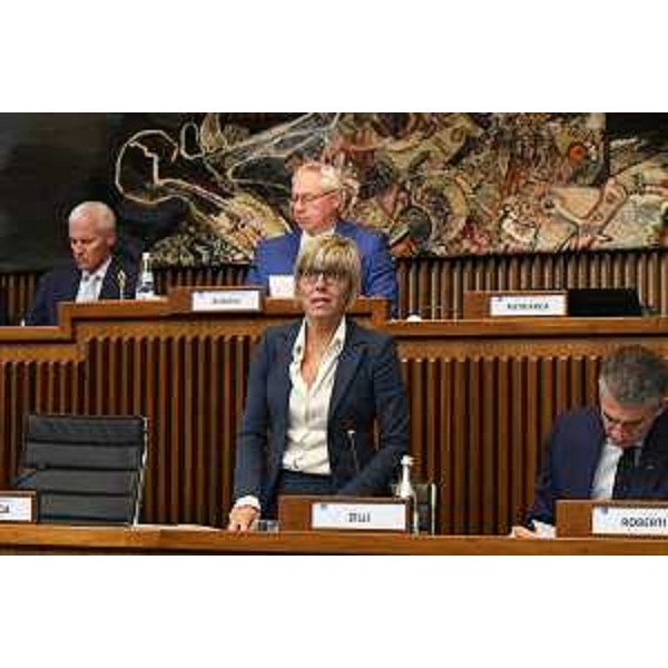 L'assessore alle Finanze, Barbara Zilli - L'assessore alle Finanze, Barbara Zilli