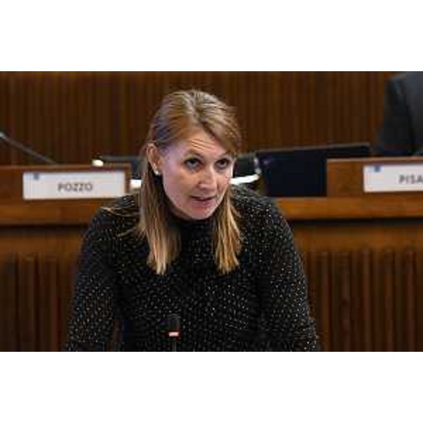 Rosaria Capozzi (Movimento 5 Stelle) - Rosaria Capozzi (Movimento 5 Stelle)