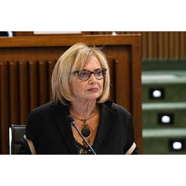 Laura Fasiolo (Pd) - Laura Fasiolo (Pd)