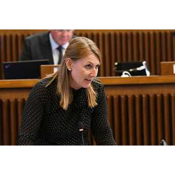 Rosaria Capozzi (M5S) - Rosaria Capozzi (M5S)