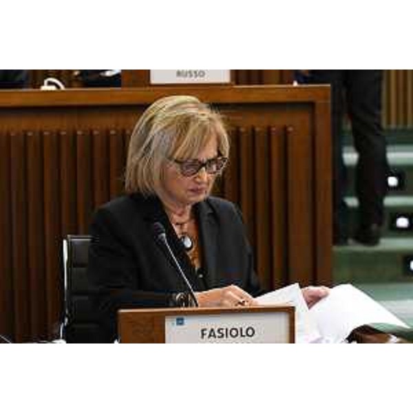 Laura Fasiolo (Pd) - Laura Fasiolo (Pd)
