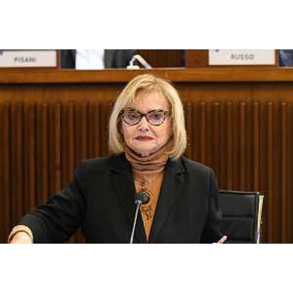 Laura Fasiolo (Pd) - Laura Fasiolo (Pd)