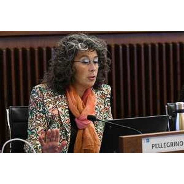 Serena Pellegrino (Avs) - Serena Pellegrino (Avs)