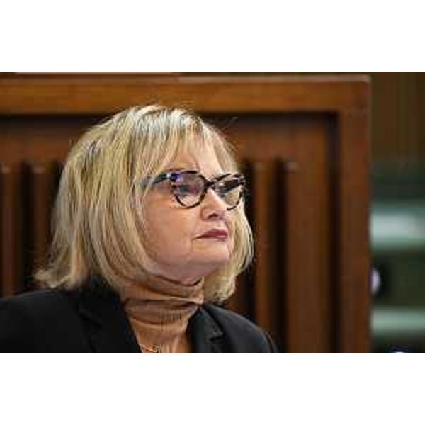 Laura Fasiolo (Pd) - Laura Fasiolo (Pd)