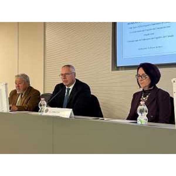 Il presidente Bordin al tavolo dei relatori in un altro momento dell'incontro - Il presidente Bordin al tavolo dei relatori in un altro momento dell'incontro