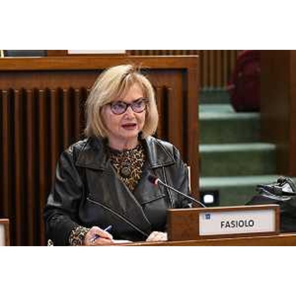 Laura Fasiolo (Partito democratico) - Laura Fasiolo (Partito democratico)