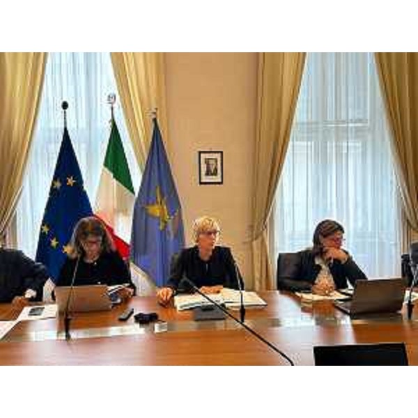 L'assessore Barbara Zilli nel corso della riunione - L'assessore Barbara Zilli nel corso della riunione