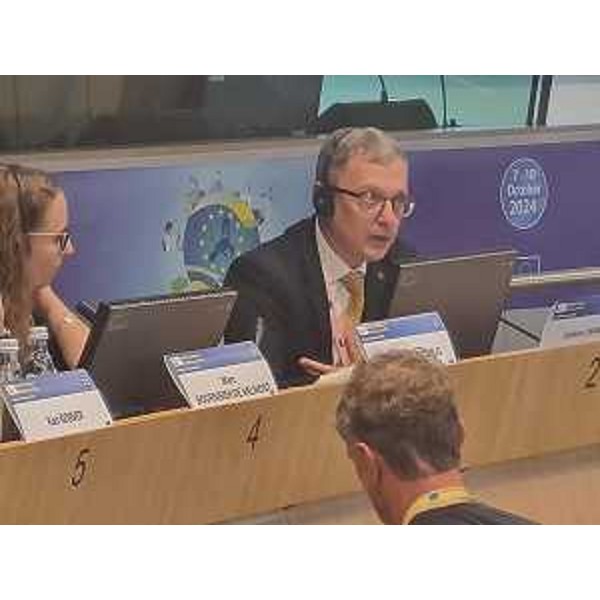 L'assessore Zannier nel corso del suo intervento - L'assessore Zannier nel corso del suo intervento