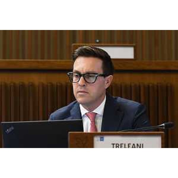 Igor Treleani (FdI) - Igor Treleani (FdI)