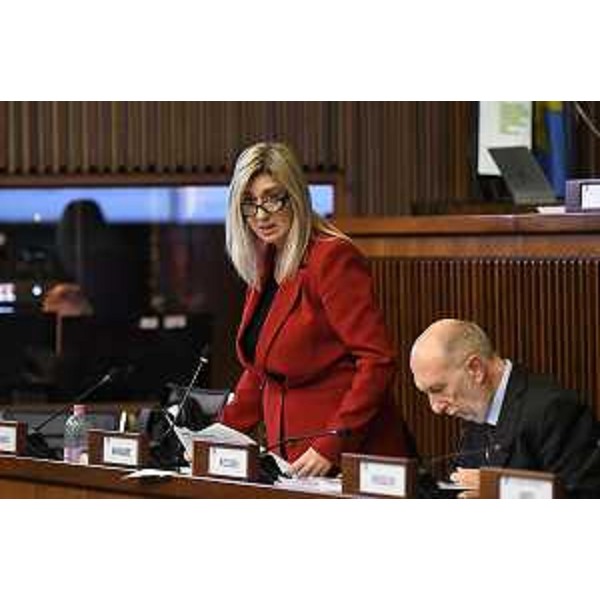 L'assessore alle Infrastrutture Cristina Amirante. Al suo fianco l'assessore Riccardo Riccardi - L'assessore alle Infrastrutture Cristina Amirante. Al suo fianco l'assessore Riccardo Riccardi