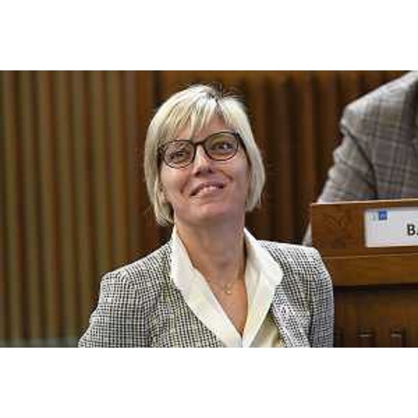 L'assessore regionale alle Finanze Barbara Zilli - L'assessore regionale alle Finanze Barbara Zilli
