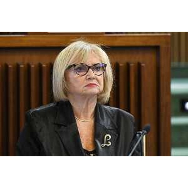 Laura Fasiolo (Partito democratico) - Laura Fasiolo (Partito democratico)