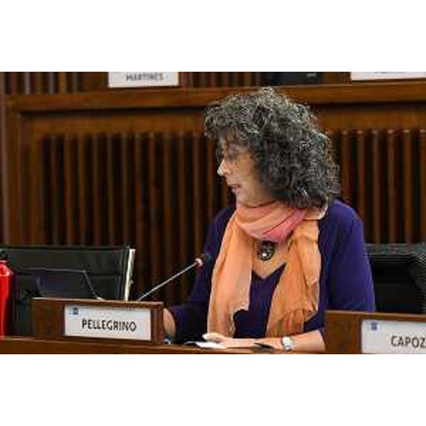 Serena Pellegrino(Avs) - Serena Pellegrino(Avs)