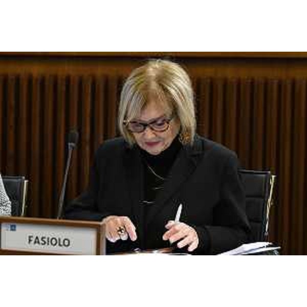 Laura Fasiolo (Pd) - Laura Fasiolo (Pd)