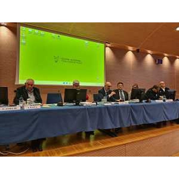 L'assessore Riccardi durante il suo intervento - L'assessore Riccardi durante il suo intervento