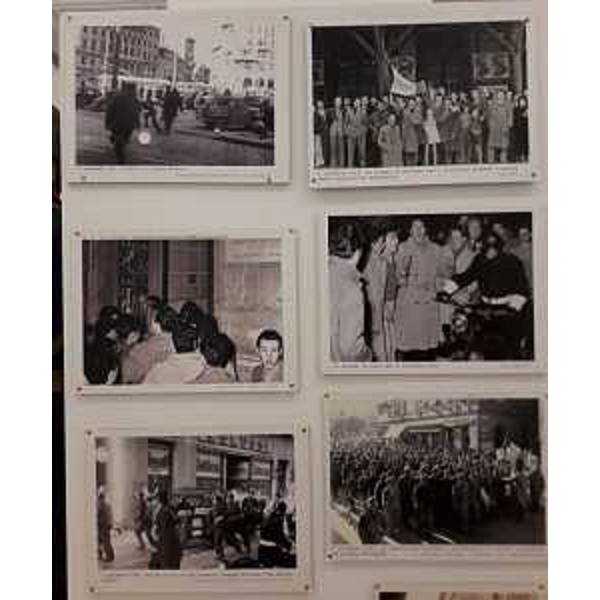 Alcune delle immagini che si possono ammirare nella sala delle Colonne del Palazzo della Regione. - Alcune delle immagini che si possono ammirare nella sala delle Colonne del Palazzo della Regione.