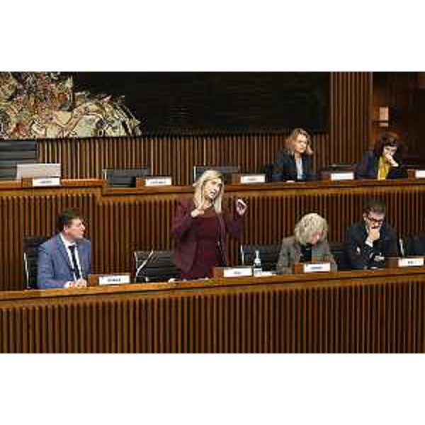 L'intervento dell'assessore Fvg alle Infrastrutture, Cristina Amirante, in IV Commissione - L'intervento dell'assessore Fvg alle Infrastrutture, Cristina Amirante, in IV Commissione