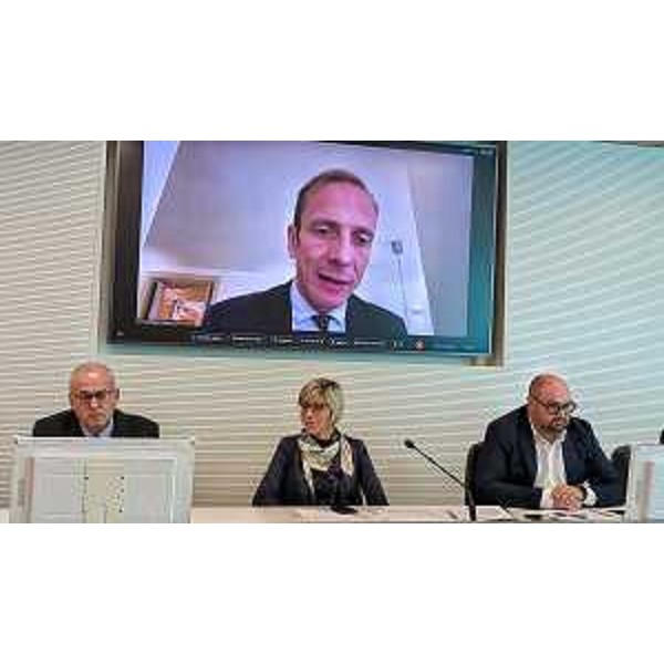 L'intervento in videocoferenza del Governatore del Friuli Venezia Giulia Massimiliano Fedriga alla conferenza stampa - L'intervento in videocoferenza del Governatore del Friuli Venezia Giulia Massimiliano Fedriga alla conferenza stampa