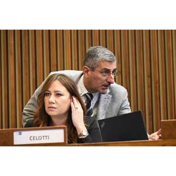 Manuela Celotti e Andrea Carli (Pd) - Manuela Celotti e Andrea Carli (Pd)