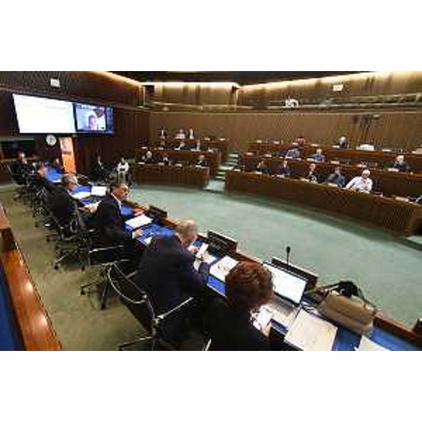 L'audizione in III e II Commissione - L'audizione in III e II Commissione