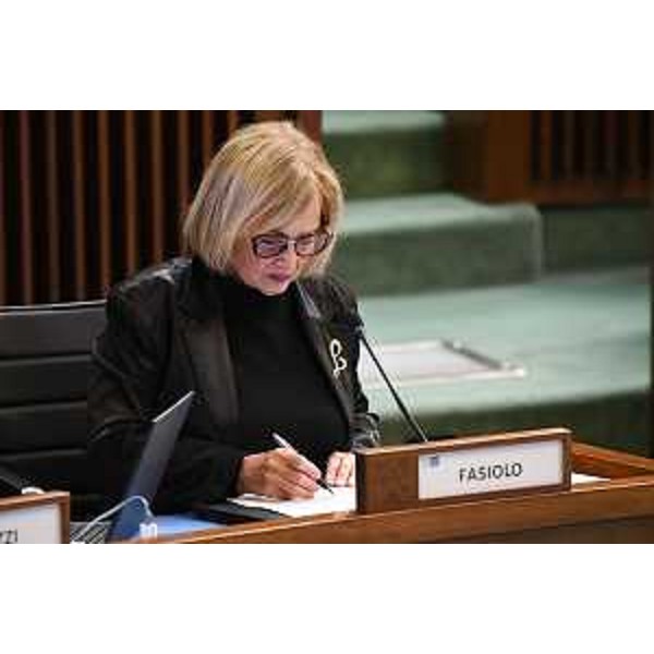 Laura Fasiolo (Pd) - Laura Fasiolo (Pd)