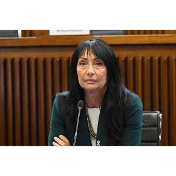 L'europarlamentare Anna Maria Cisint, già sindaco di Monfalcone - L'europarlamentare Anna Maria Cisint, già sindaco di Monfalcone 