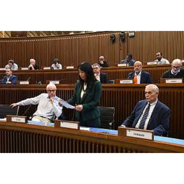 Un altro momento delle audizioni: l'intervento di Anna Maria Cisint - Un altro momento delle audizioni: l'intervento di Anna Maria Cisint