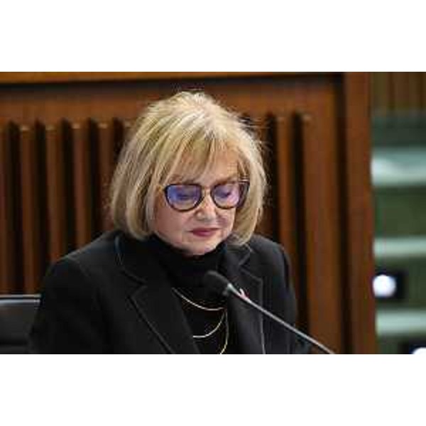 Laura Fasiolo (Partito democratico) - Laura Fasiolo (Partito democratico)