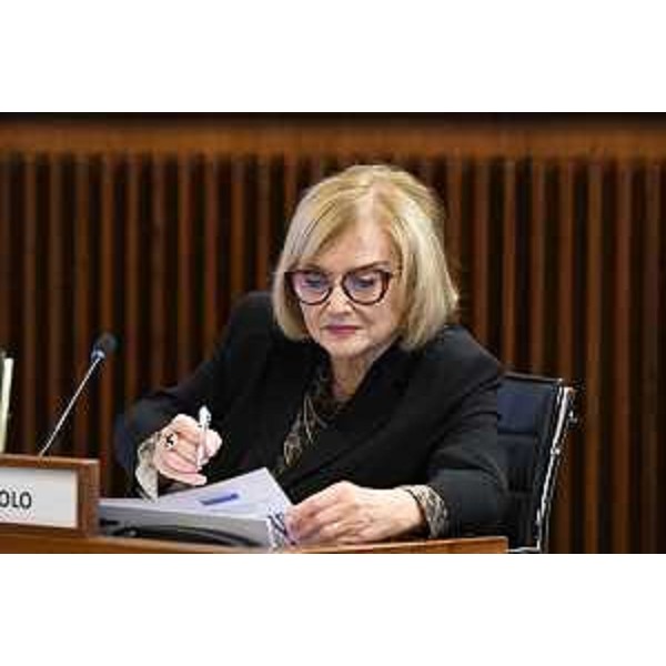 Laura Fasiolo (Pd) - Laura Fasiolo (Pd)