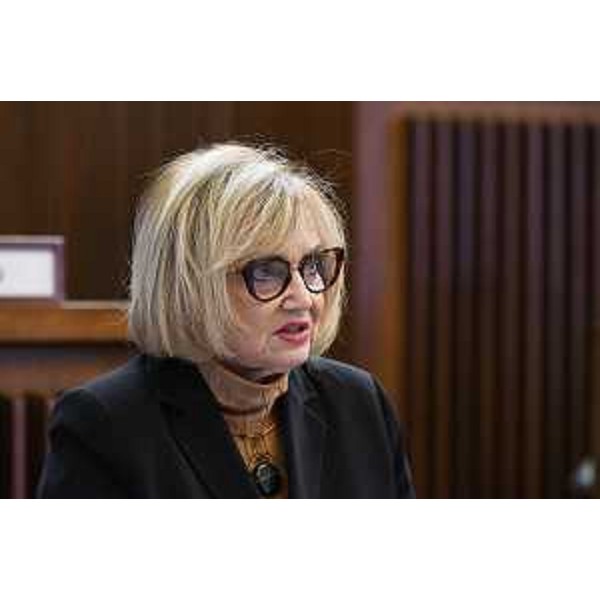 Laura Fasiolo (Pd) - Laura Fasiolo (Pd)