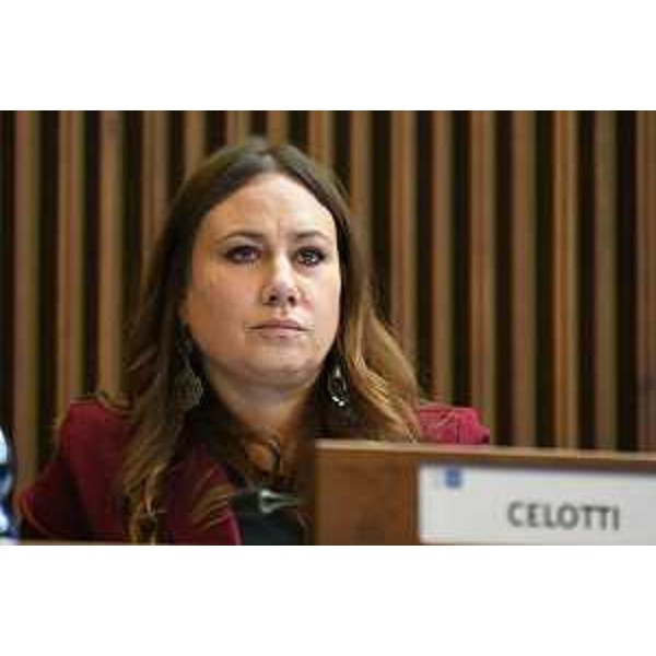 Manuela Celotti (Pd) - Manuela Celotti (Pd)