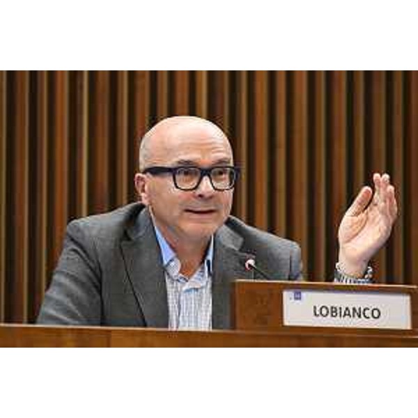 Michele Lobianco (FI) - Michele Lobianco (FI)