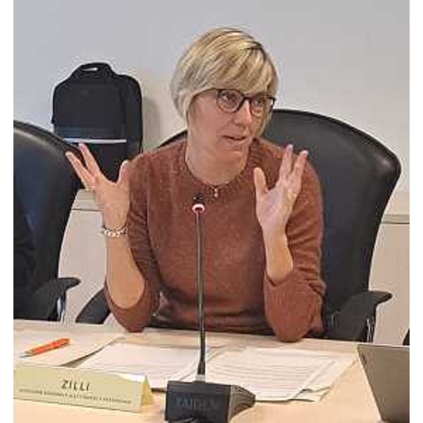 L'assessore Zilli alla seduta del Zal. - L'assessore Zilli alla seduta del Zal.