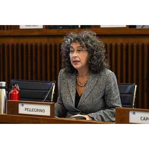 Serena Pellegrino (Avs) - Serena Pellegrino (Avs)