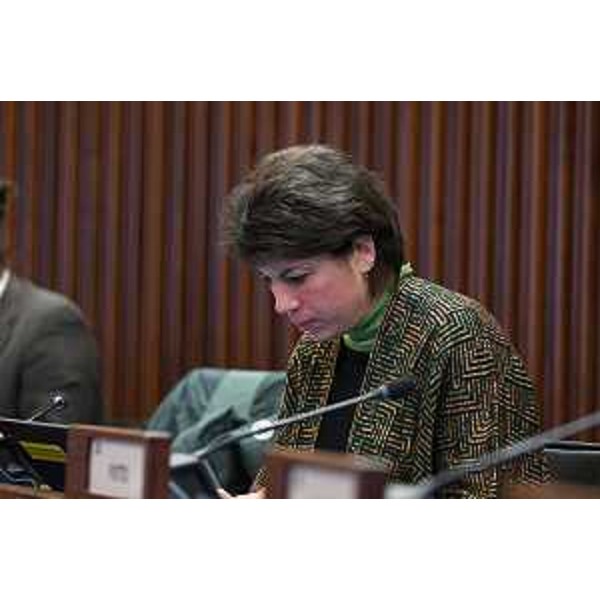 Giulia Massolino (Patto-Civica) - Giulia Massolino (Patto-Civica)