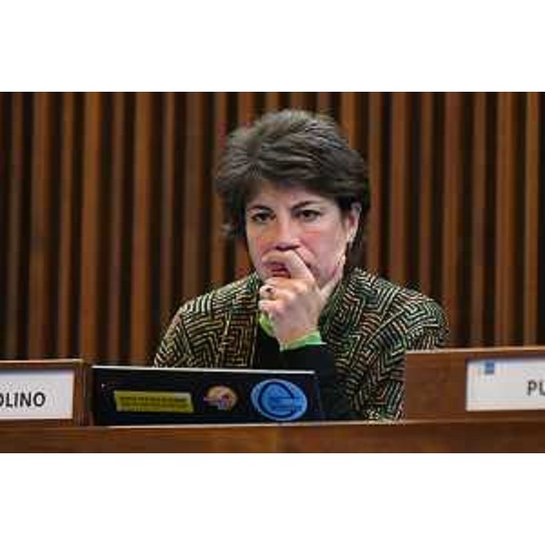 Giulia Massolino (Patto per l'Autonomia-Civica Fvg) - Giulia Massolino (Patto per l'Autonomia-Civica Fvg)