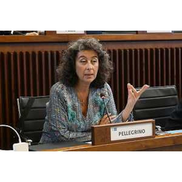 Serena Pellegrino (Avs) - Serena Pellegrino (Avs)