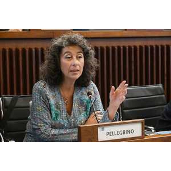 Serena Pellegrino (Avs) - Serena Pellegrino (Avs)