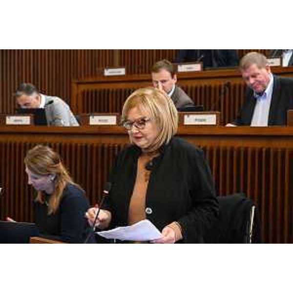 Laura Fasiolo (Pd) - Laura Fasiolo (Pd)