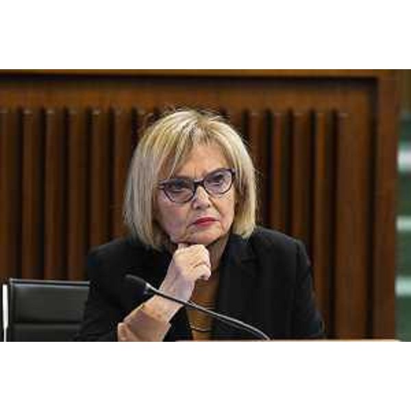 Laura Fasiolo (Pd) - Laura Fasiolo (Pd)