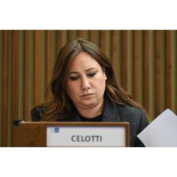 Manuela Celotti (Pd) - Manuela Celotti (Pd)