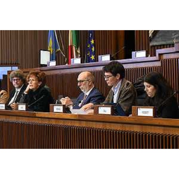 La direttrice Gianna Zamaro, l'assessore Riccardo Riccardi, il presidente del Clcv, Nicola Conficoni (Pd) - La direttrice Gianna Zamaro, l'assessore Riccardo Riccardi, il presidente del Clcv, Nicola Conficoni (Pd)