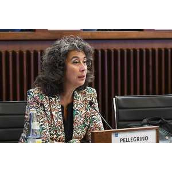 Serena Pellegrino (Avs) - Serena Pellegrino (Avs)