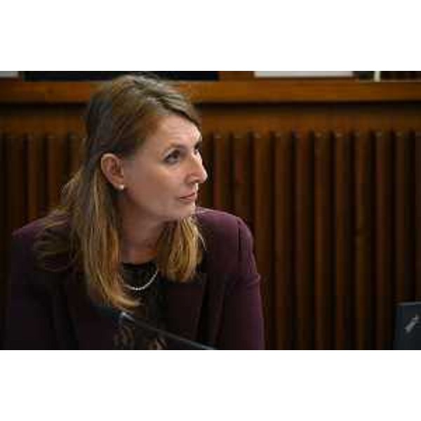 Rosaria Capozzi (M5S), capogruppo del Misto - Rosaria Capozzi (M5S), capogruppo del Misto