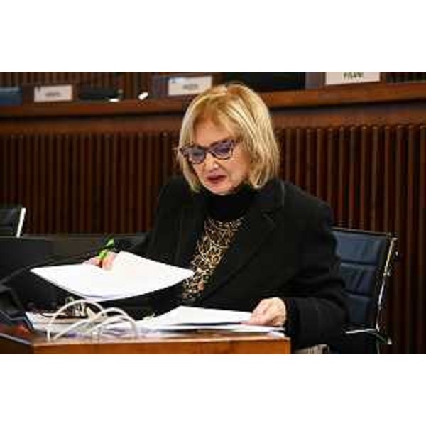 Laura Fasiolo (Pd) - Laura Fasiolo (Pd)