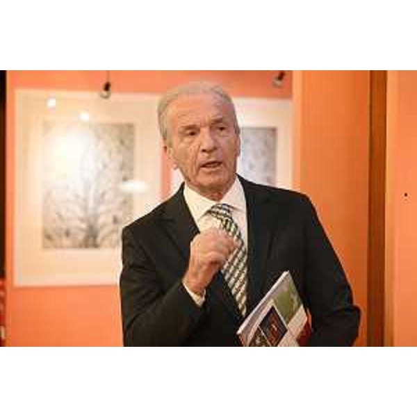 Il curatore della mostra, Enzo Santese - Il curatore della mostra, Enzo Santese