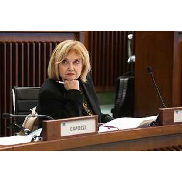 Laura Fasiolo (Pd) - Laura Fasiolo (Pd)